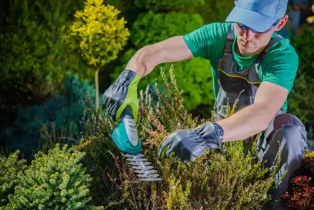 landscaping services Versailles